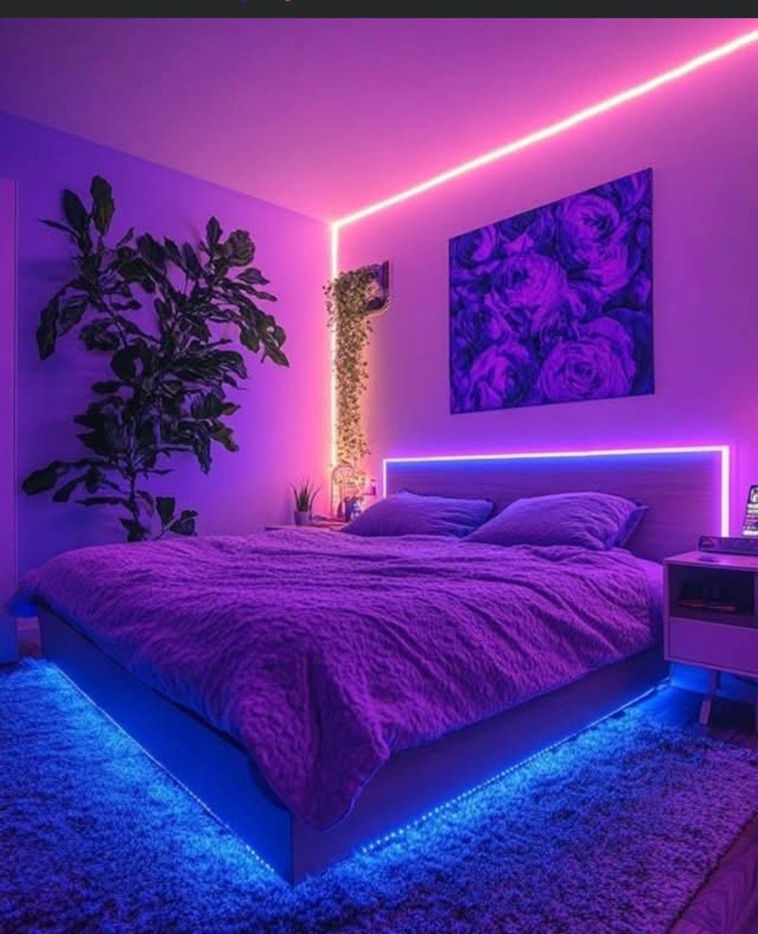 RGB LED Light Strip 5M (16ft) – 7 Colors Changing Light with Remote for Room, Gaming Setup & Home Décor (With Adapter)